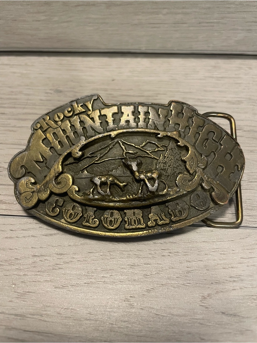 Vintage 1975 Adezy Denver Rocky Mountain High Colorado Belt Buckle